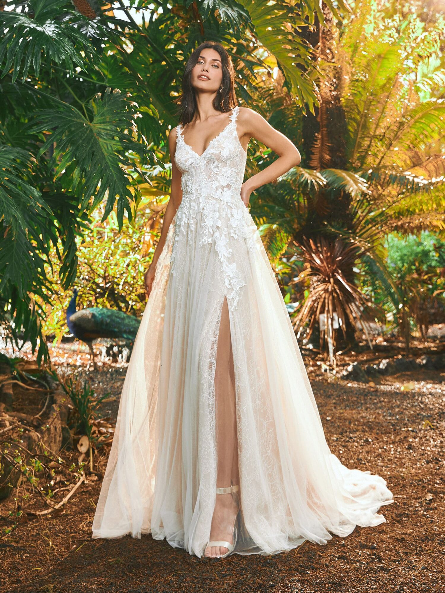 Pronovias Wedding Dress Collection | Bridal Reflections